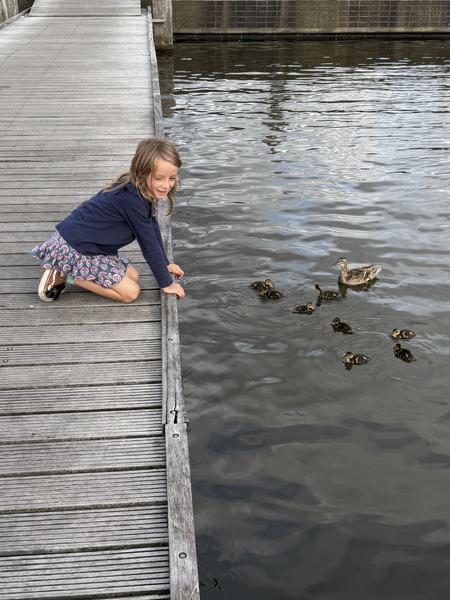 A young girl kneels on a wooden boardwalk, smiling as she observes a mother duck and her ducklings swimming in the water